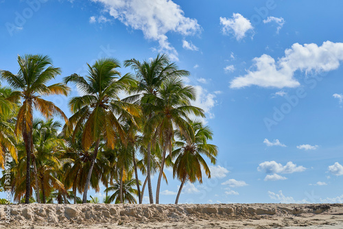 Samaná República Dominicana Aitises