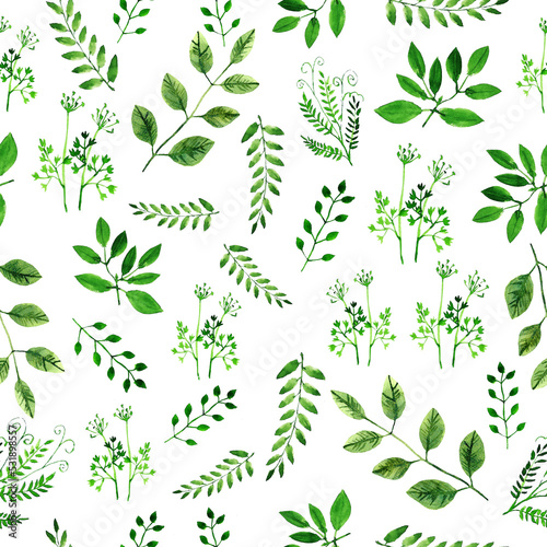 Drawing watercolor leaves and herbs on a white background. Seamless pattern.