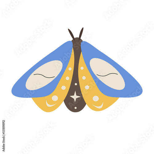 Collection of vector magic fairy tale elements, icons and illustrations. Magic moth.