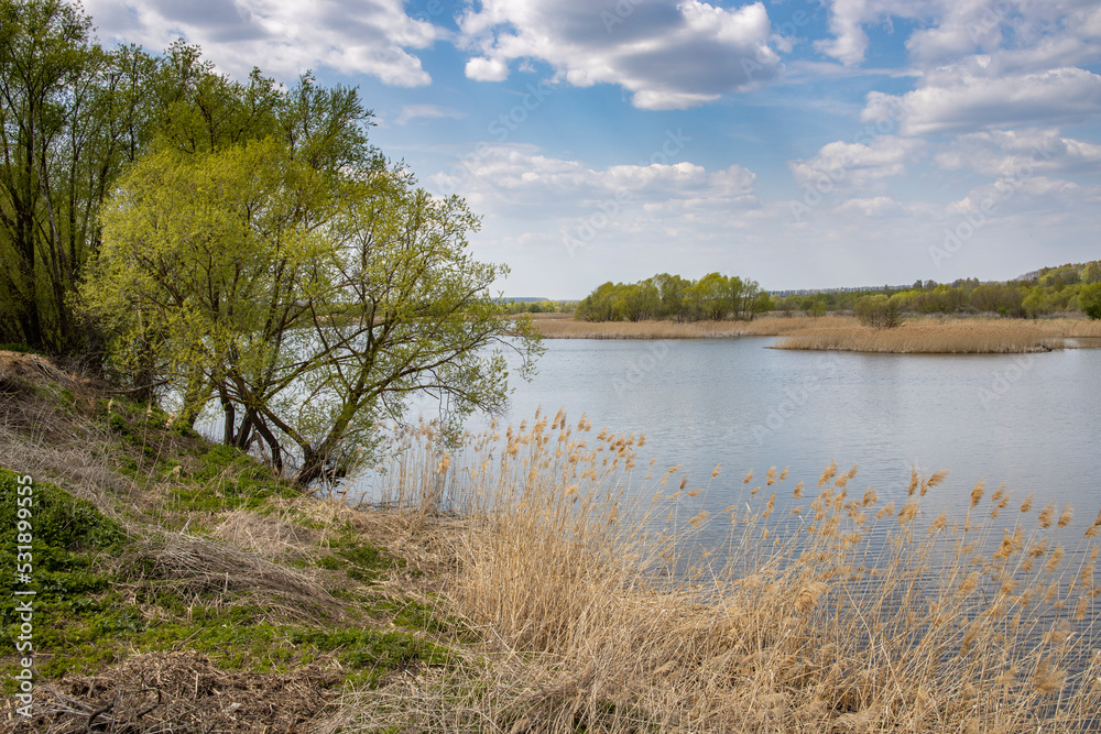 Sunlight through the clouds illuminates the young greenery of bushes and trees. Rural spring landscape with a river, clouds over the horizon. Sunlight through the clouds illuminates the young greenery of bushes and trees. Rural spring landscape with a river, clouds over the horizon.