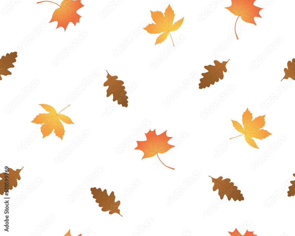 Seamless pattern of maple, oak, chestnut leaves on a white background Seamless pattern of maple, oak, chestnut leaves on a white background