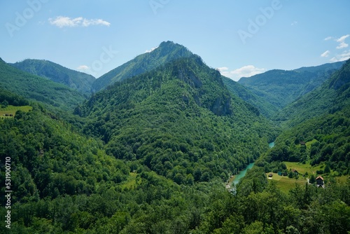 Tara Valley Montenegro 2022 June © Ojamajo