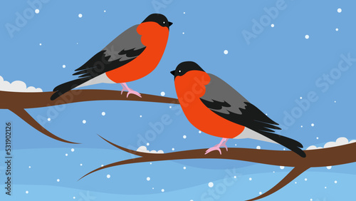 Two bullfinches sit on winter branches, illustration, vector