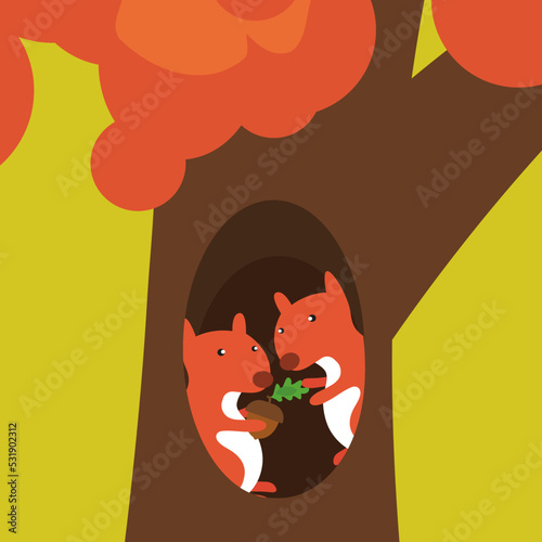 two squirrels sit in a hollow