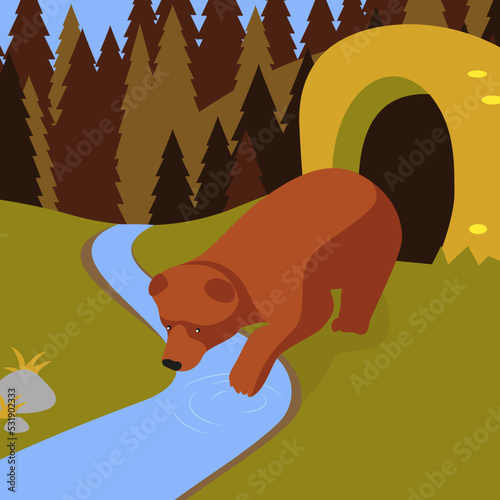 Bear drinks water from the river