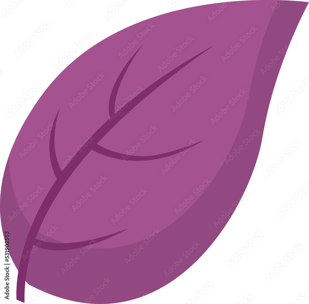 Basil leaf Herb Spice. Vector illustration Basil leaf Herb Spice. Vector illustration