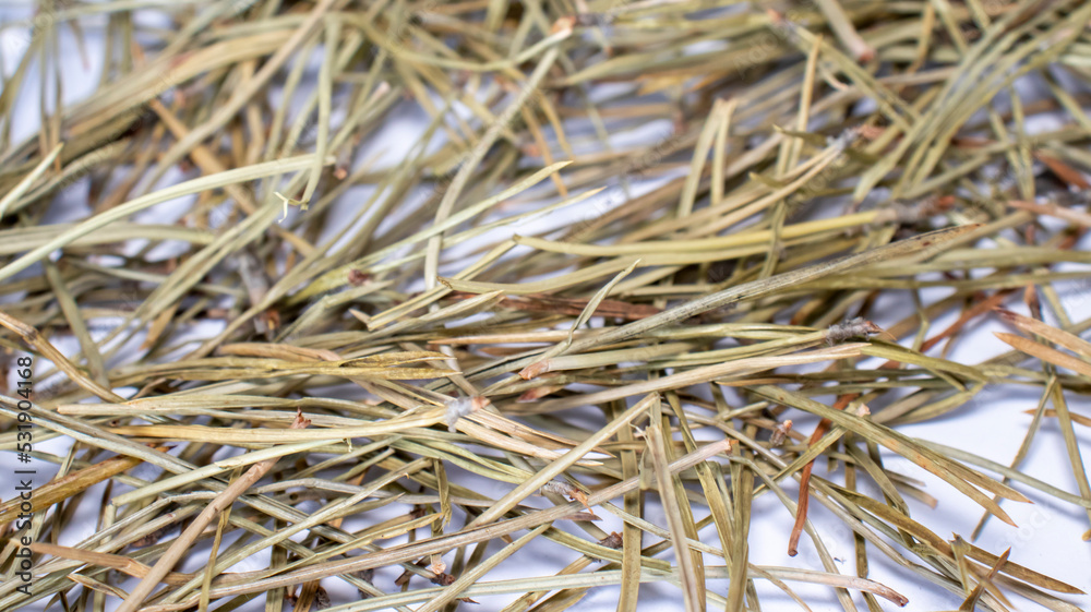 Dried fir needles isolated on white background. After christmas