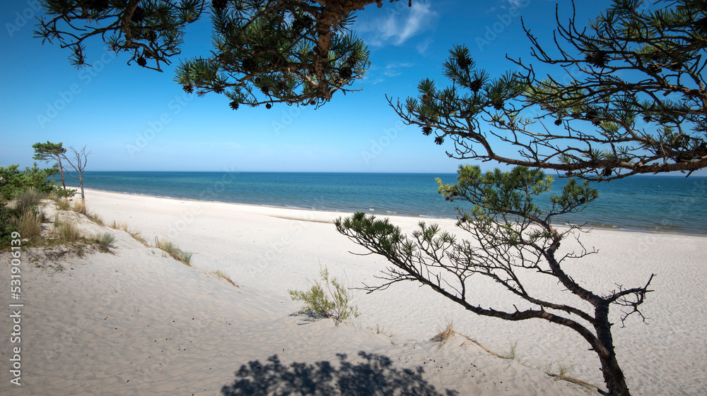 Baltic Sea. Beautiful beach, coast and dune on the Hel Peninsula. Piękne plaże półwyspu helskiego z widokiem na wydmę, roślinność wydmową, piasek i morze bałtyckie.	 - obrazy, fototapety, plakaty 