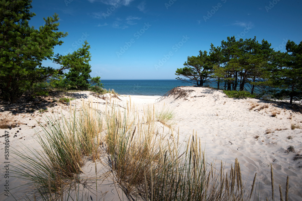 Baltic Sea. Beautiful beach, coast and dune on the Hel Peninsula. Piękne plaże półwyspu helskiego z widokiem na wydmę, roślinność wydmową, piasek i morze bałtyckie.	 - obrazy, fototapety, plakaty 