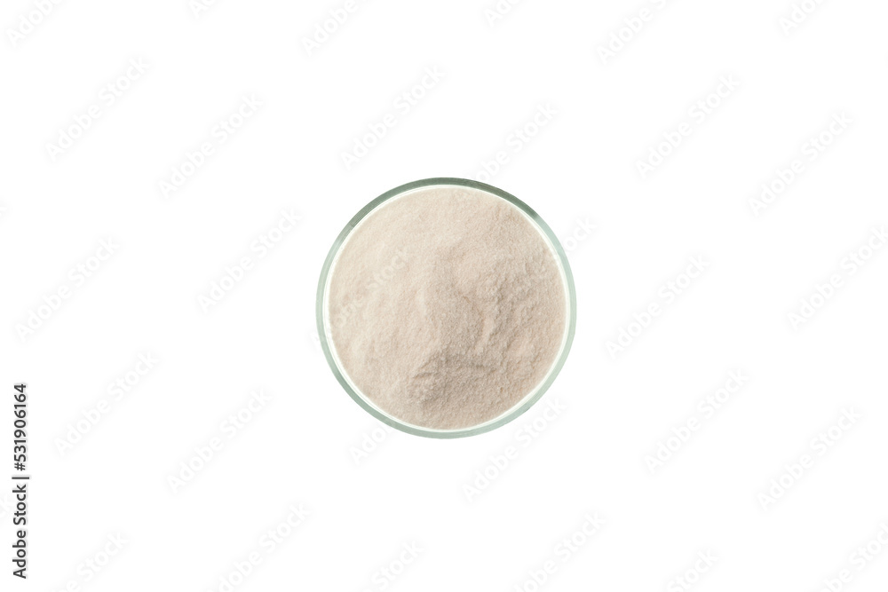 Food additive E407 or Carrageenan Gum Powder in laboratory petri dish on white background, top view. Selective focus, copy space. Research Iota Carrageenan produced from Eucheuma denticulatum Food additive E407 or Carrageenan Gum Powder in laboratory petri dish on white background, top view. Selective focus, copy space. Research Iota Carrageenan produced from Eucheuma denticulatum