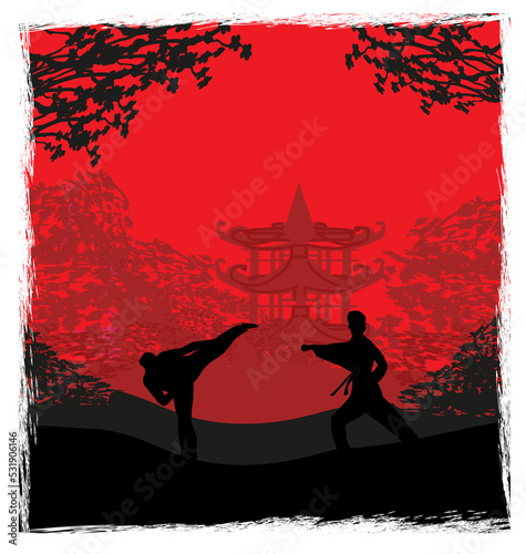 Active tae kwon do martial arts fighters combat fighting and kicking sport silhouettes illustration