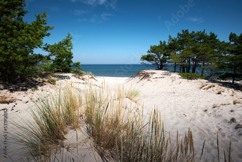 Baltic Sea. Beautiful beach, coast and dune on the Hel Peninsula. Piękne plaże półwyspu helskiego z widokiem na wydmę, roślinność wydmową, piasek i morze bałtyckie.	