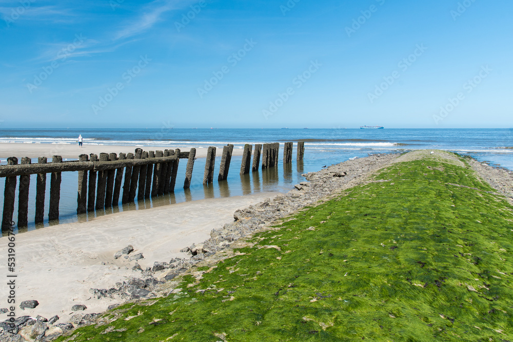 North sea beach with breakwaters on the island of Wangerooge on a sunny and blue spring day.