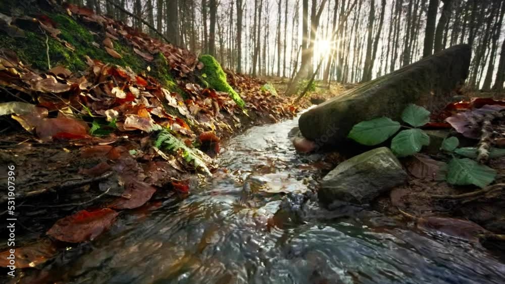 Following a small stream in the forest towards the sun, with a dry autumn leaf gently falling into the water and moving along
