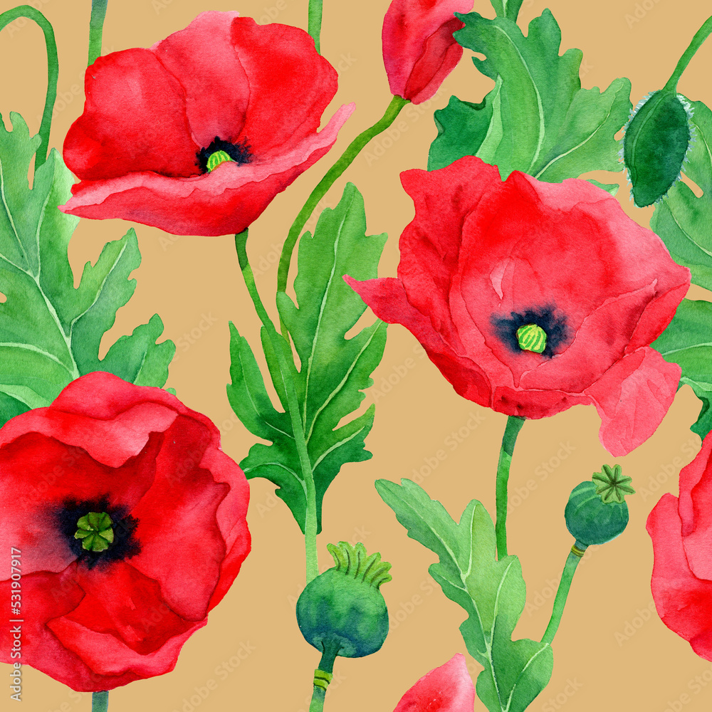 Obraz premium Watercolor hand drawn poppies seamless pattern. Botany illustration of red poppy. Field of red flowers. Design for background, packaging, cover, decor, textile elements.