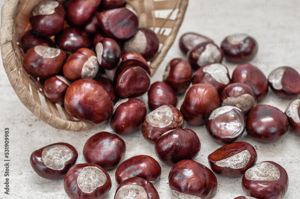 Chestnuts poured out of a straw basket on ceramic floor. Chestnuts poured out of a straw basket on ceramic floor.