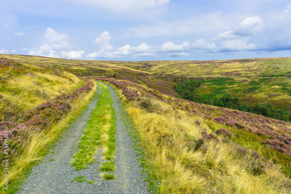 Footpath on the old railway line which leads to Rosedale Head in the North Yorkshire Moors National Park. In Late summer this is a fabulous walk through the purple heather.