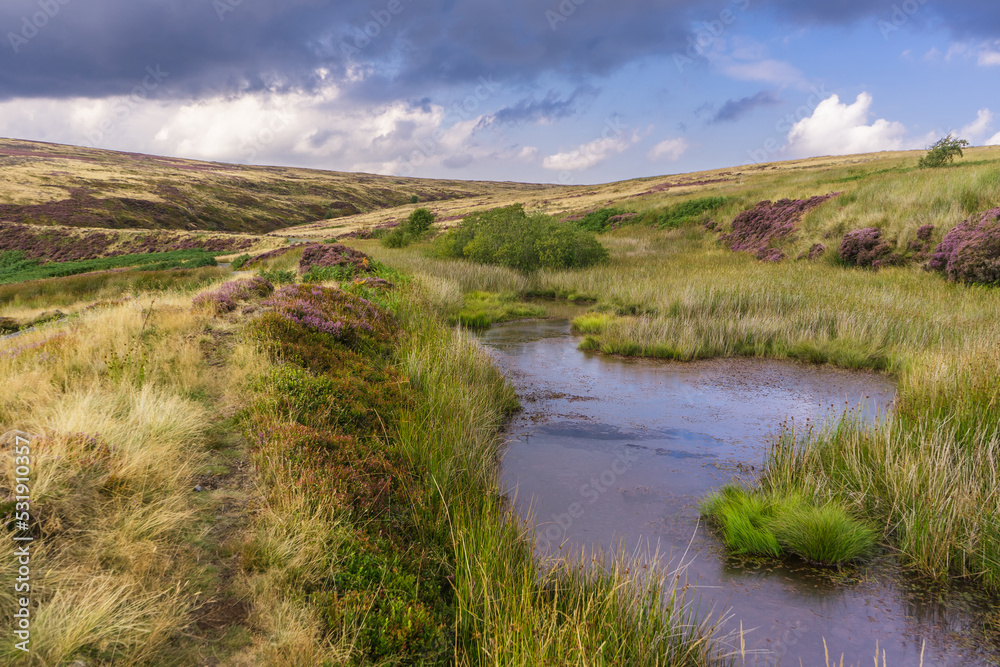 This is Rosedale Head in late summer when the heather is flowering, creating patches of purple all over the moor. The footpath passes a small pond / boggy area.