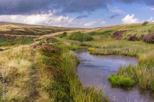 This is Rosedale Head in late summer when the heather is flowering, creating patches of purple all over the moor. The footpath passes a small pond / boggy area.