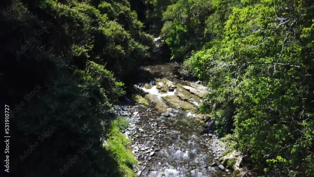 Drone lifts up from mountain stream and slowly tilts up to reveal surrounding rainforest. Drone lifts up from mountain stream and slowly tilts up to reveal surrounding rainforest.