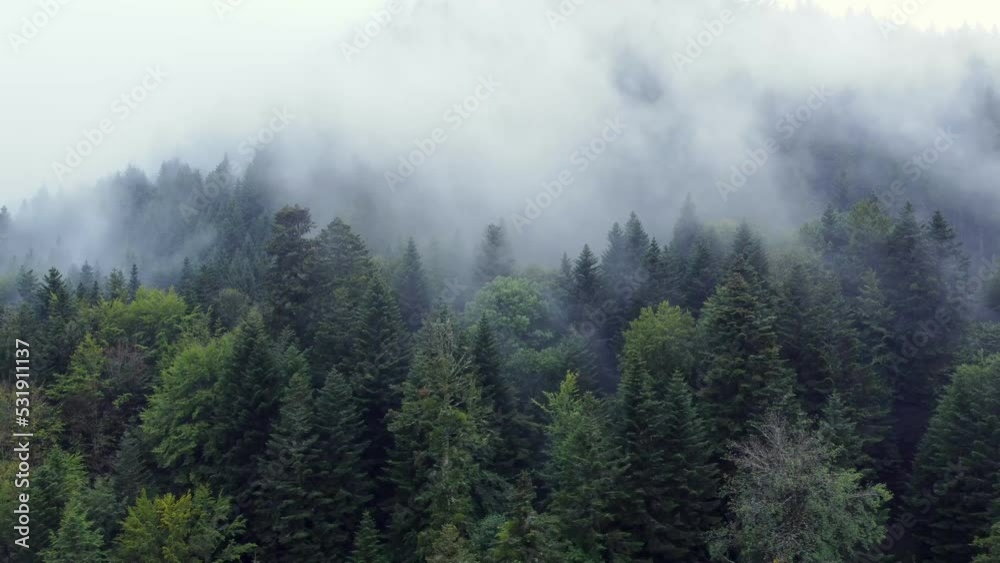 Aerial orbiting view around a dark mountain forest with big moody white clouds, in Vosges, France, 4K