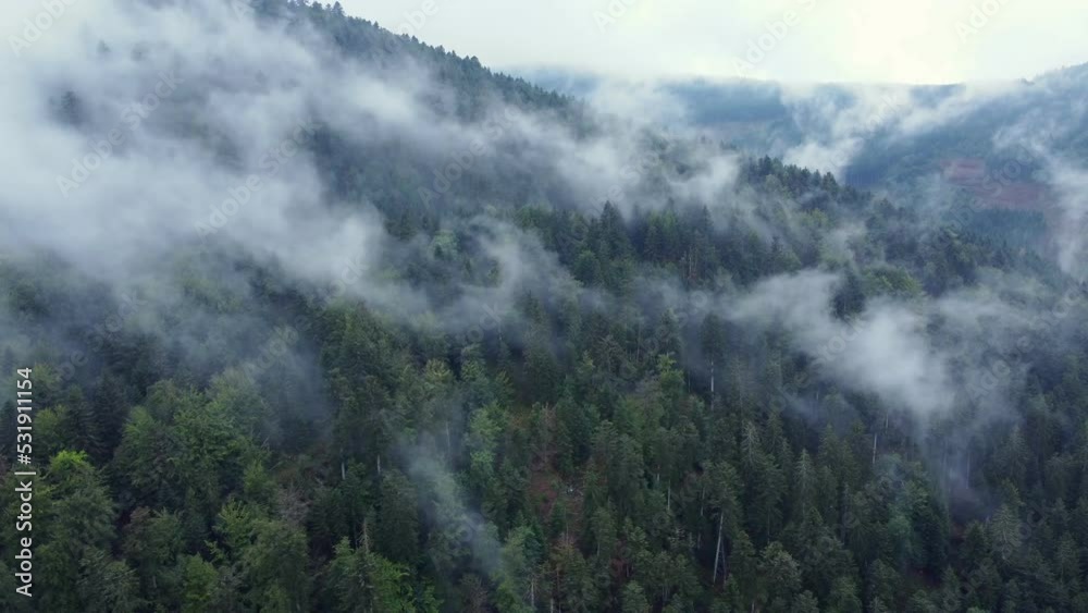 Aerial side view of a dark mountain forest with big moody white clouds, in Vosges, France, 4K Aerial side view of a dark mountain forest with big moody white clouds, in Vosges, France, 4K