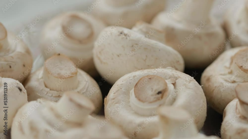 oyster mushrooms and mushrooms rotate in a circle oyster mushrooms and mushrooms rotate in a circle