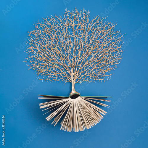 Leinwand Poster Golden tree growing from the old book, Education and knowledge concept