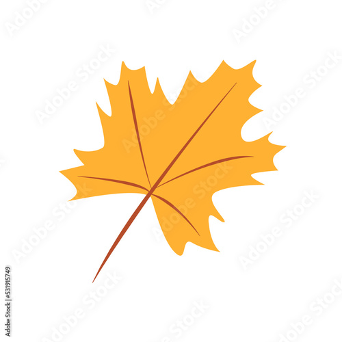 Maple leaf doodle vector illustration, isolate on white.