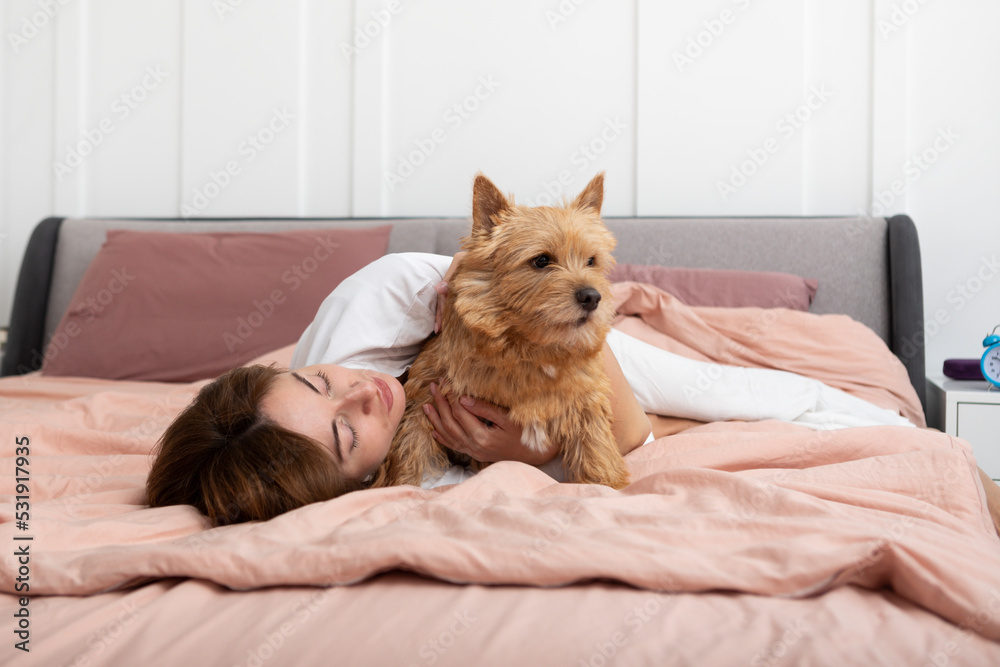 Young and beautiful woman lying in the bed and hugging her adorable pet dog. Perfect friendship concept