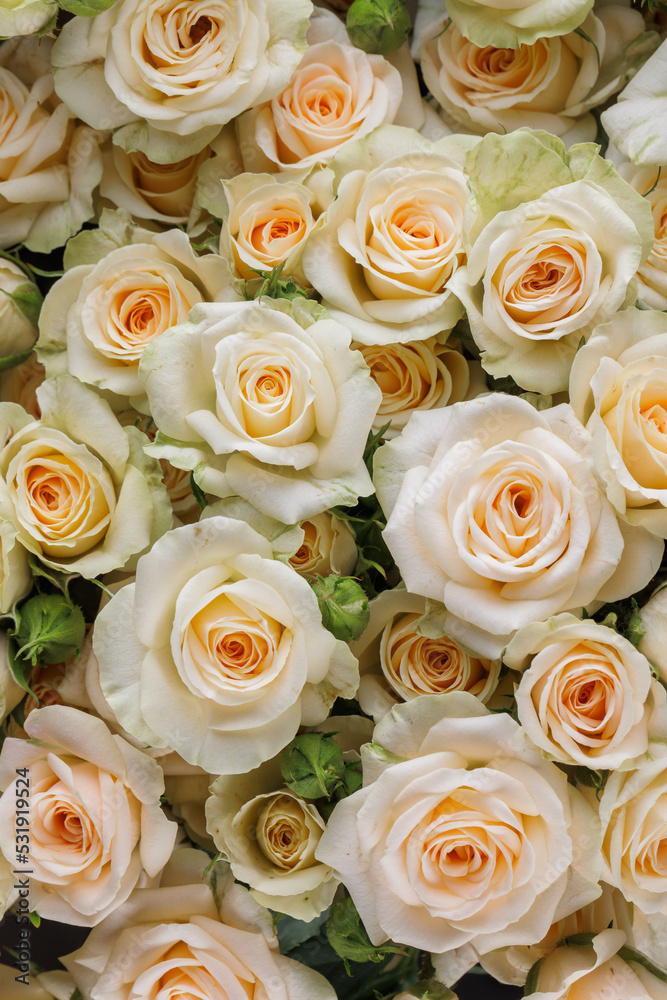 Bunch of fresh white yellow green pale roses floral background Bunch of fresh white yellow green pale roses floral background