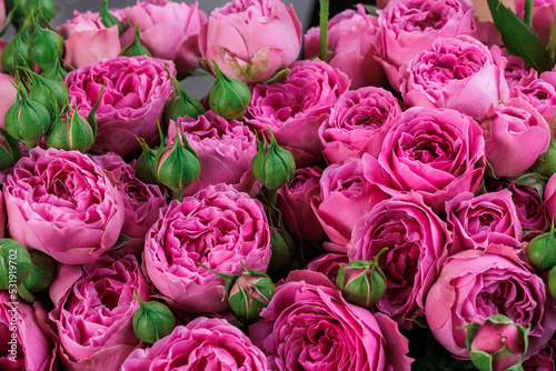 Bunch of fresh deep pink roses floral background