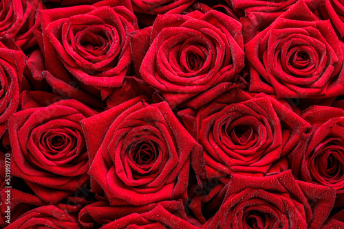 Bunch of fresh red roses floral background