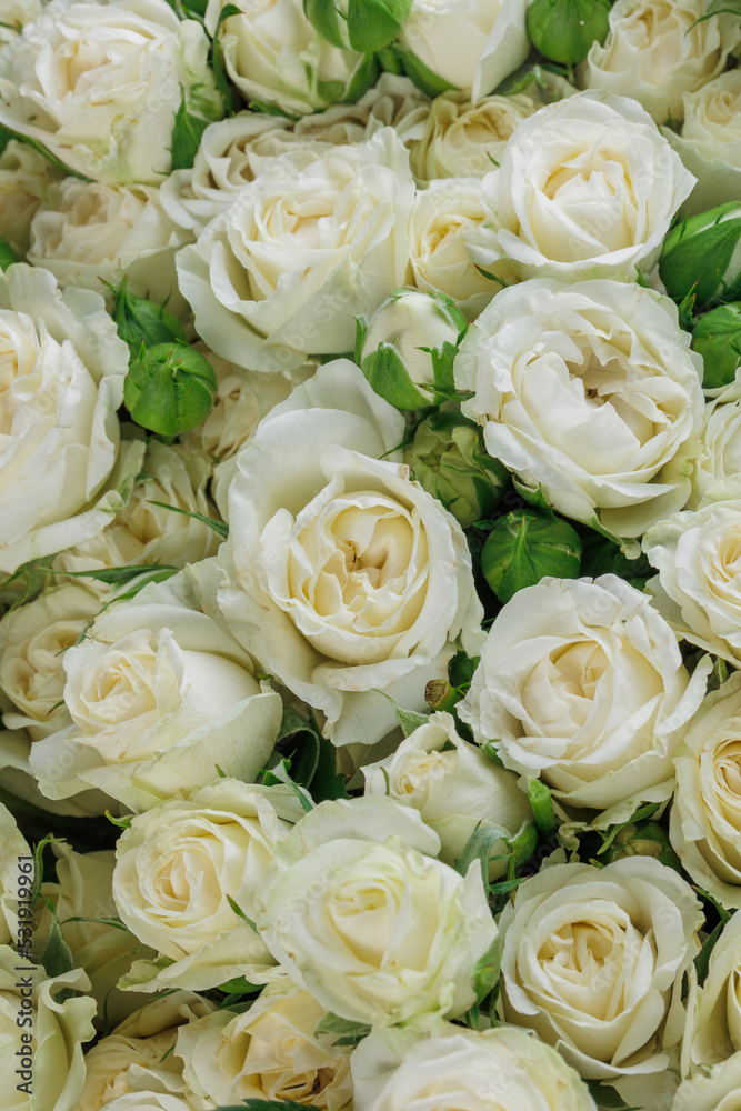 Bunch of fresh white roses floral background Bunch of fresh white roses floral background