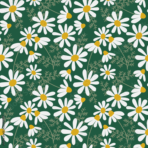 Trendy seamless floral pattern, Flower repeat background, Botanical print, Textile design, Floral motif ornament, Chamomile seamless pattern, Daisy flower backdrop