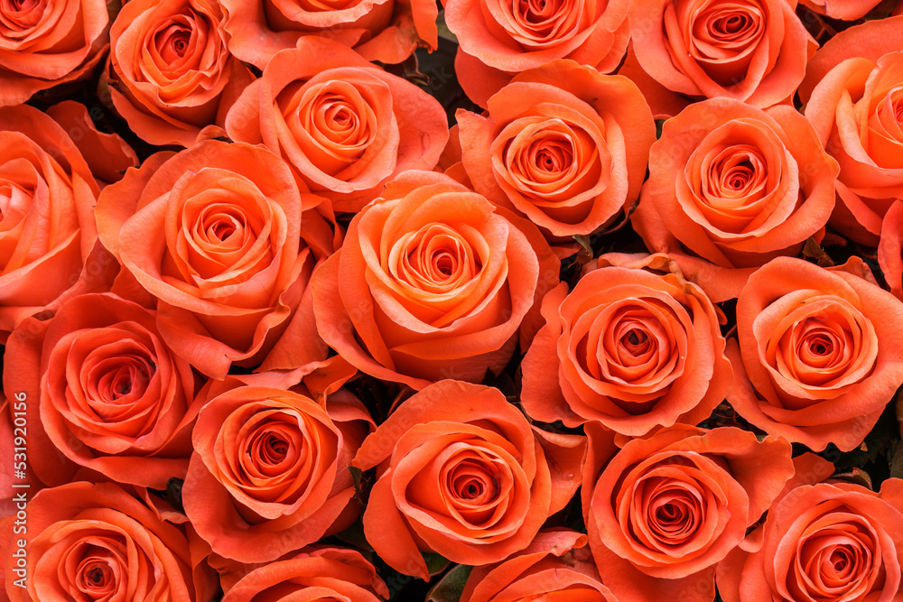 Bunch of fresh orange roses floral background Bunch of fresh orange roses floral background