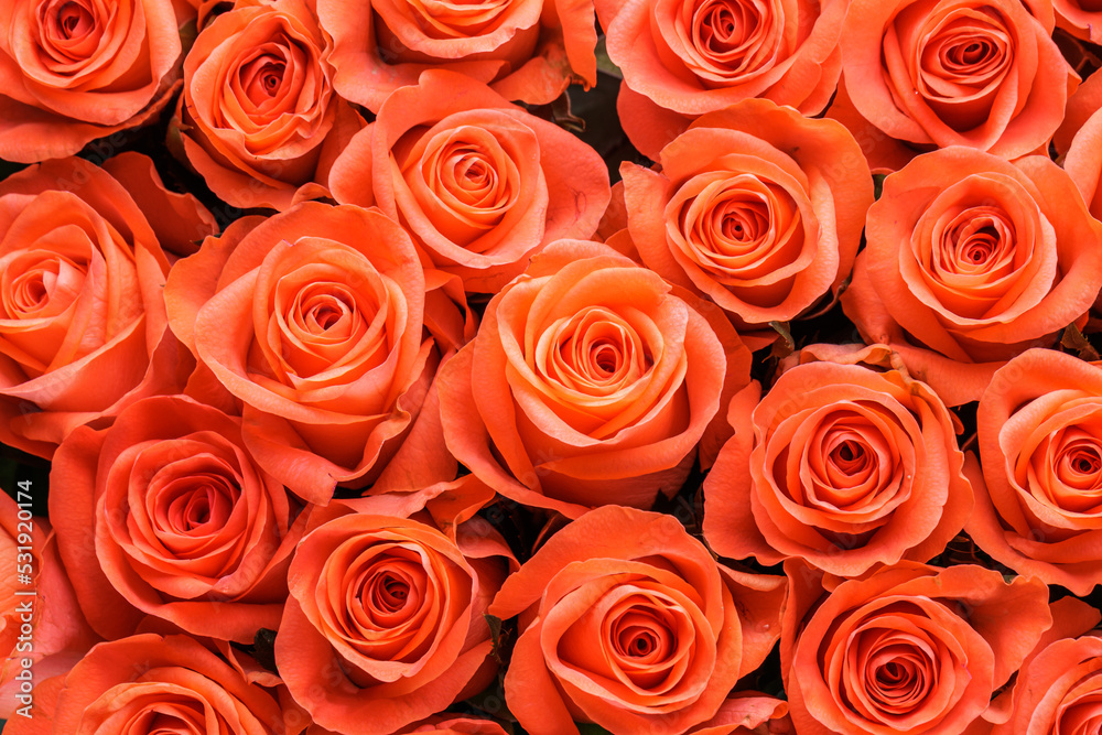 Bunch of fresh orange roses floral background Bunch of fresh orange roses floral background