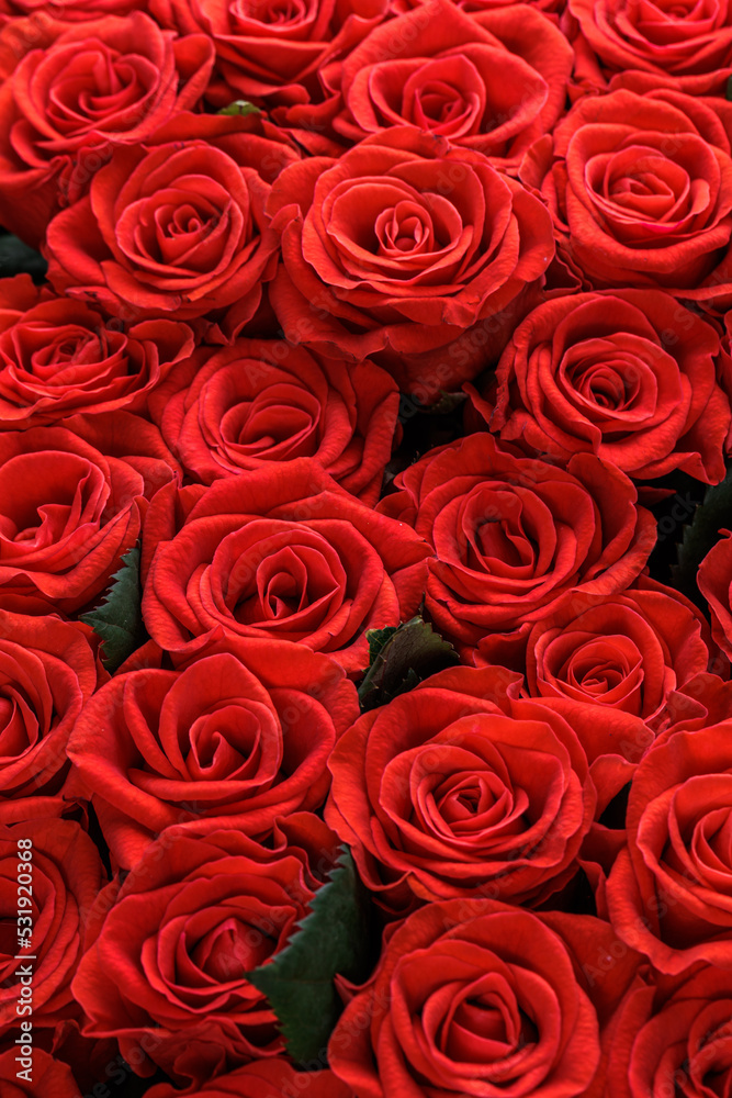 Bunch of fresh red roses floral background Bunch of fresh red roses floral background
