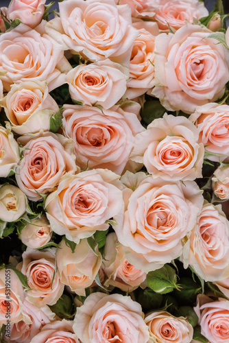 Bunch of fresh pink pale roses floral background