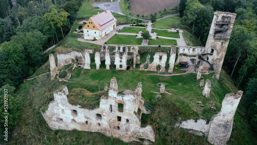 Ruin of castle Zvířetice, Bakov nad Jizerou, Czechia
 photo