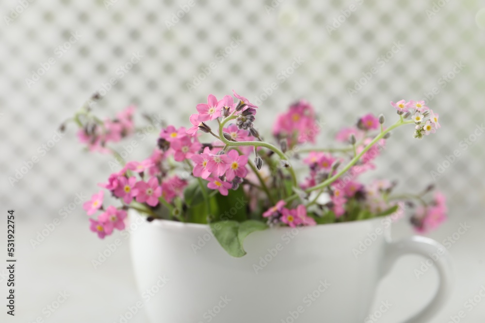 Beautiful pink forget-me-not flowers with cup on blurred background, closeup Beautiful pink forget-me-not flowers with cup on blurred background, closeup