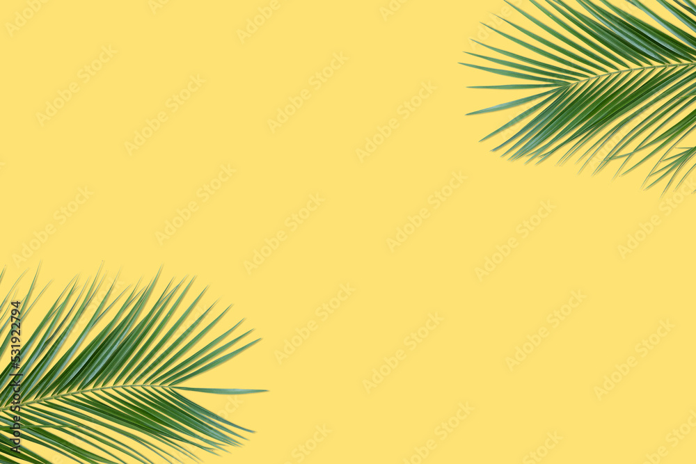 green palm leaves on a yellow background
