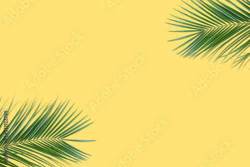 Fototapeta Naklejka Na Ścianę i Meble -  green palm leaves on a yellow background