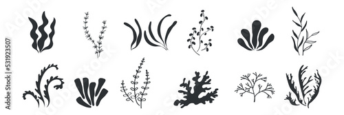 Seaweed silhouette icons. Marine plants, sea alga. Vector illustration