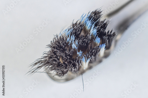 Close-up of an old toothbrush, brush bristles photo