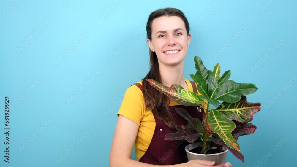 Charming beautiful young brunette florist points away with thumb, shows blank space for your advertisement or design, holds pot with beautiful green plant, isolated over blue studio background wall Charming beautiful young brunette florist points away with thumb, shows blank space for your advertisement or design, holds pot with beautiful green plant, isolated over blue studio background wall