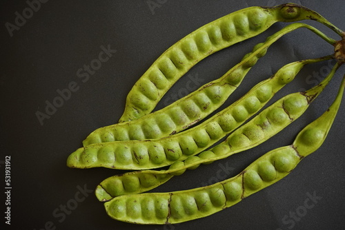 Mlanding (Parkia speciosa) called Pete in Indonesia is a tropical annual tree from the leguminous tribe (Fabaceae) photo