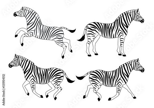 Vector set of flat hand drawn outline zebra isolated on white background