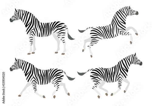 Vector set of flat hand drawn zebra isolated on white background