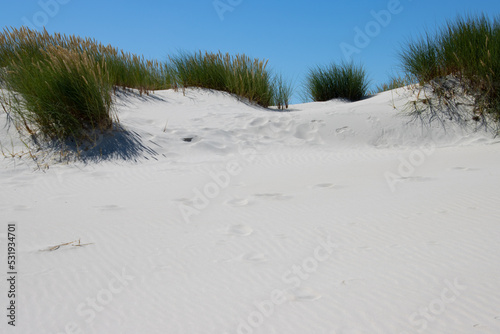 Wallpaper Mural Dune landscape on the island of Amrum Torontodigital.ca